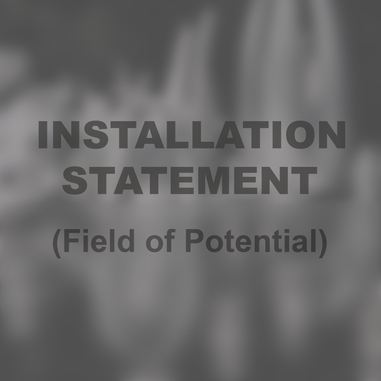 Installation Statement